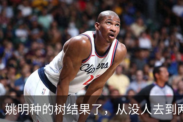 姚明种的树结果了，从没人去到两位数留洋，年轻人治好男篮老毛病